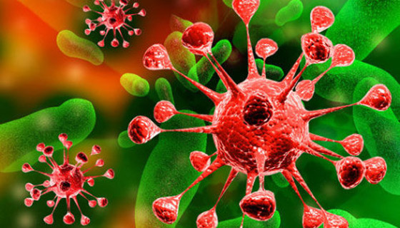 تحذير من فيروس فتاك أخطر من كورونا قد يقضي على نصف العالم! صورة رقم 9