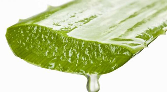 إليكم 6 فوائد سحرية مذهلة لجل الصبار (الألوفيرا) صورة رقم 8