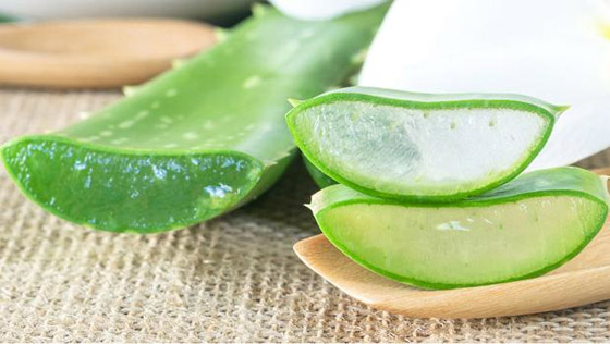 إليكم 6 فوائد سحرية مذهلة لجل الصبار (الألوفيرا) صورة رقم 12