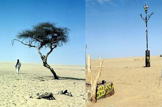 صورة رقم 16 - حرب الدلو، القبعة والبطاطس.. 8 أحداث تاريخية مضحكة يصعب تصديقها صورة رقم 16 - حرب الدلو، القبعة والبطاطس.. 8 أحداث تاريخية مضحكة يصعب تصديقها