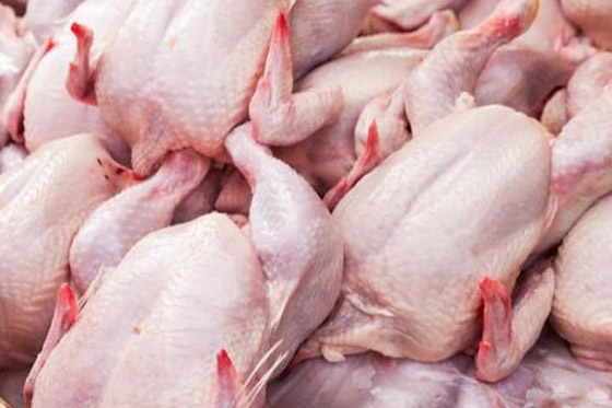 تحمي من الخرف والزهايمر... 9 أطعمة تحافظ على صحة الدماغ صورة رقم 7