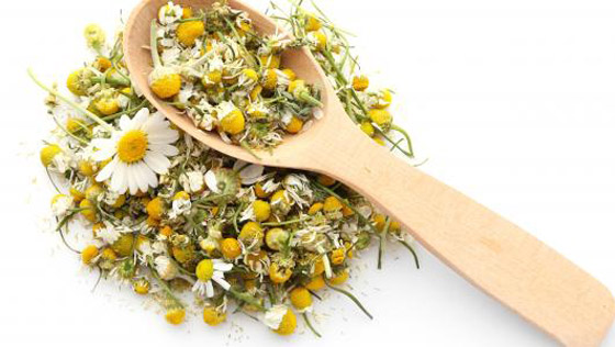 5 نباتات طبيعية تمنحك الاسترخاء وتغنيك عن المهدئات لمواجهة الإرهاق صورة رقم 1