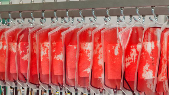 الصين وأمريكا تسابقان الزمن: من أين سيأتي اللقاح؟ ولغز جديد لكورونا! صورة رقم 4