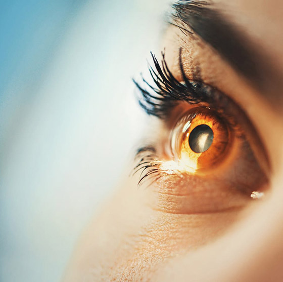 في متناول الجميع.. إليكم 10 أطعمة تقوي البصر والعين صورة رقم 16