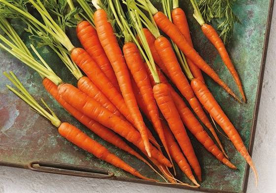 في متناول الجميع.. إليكم 10 أطعمة تقوي البصر والعين صورة رقم 7