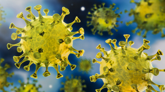 لغط العدوى الـ(بلا أعراض) ثانية.. الصحة العالمية توضح مجددا وتحذر! صورة رقم 2