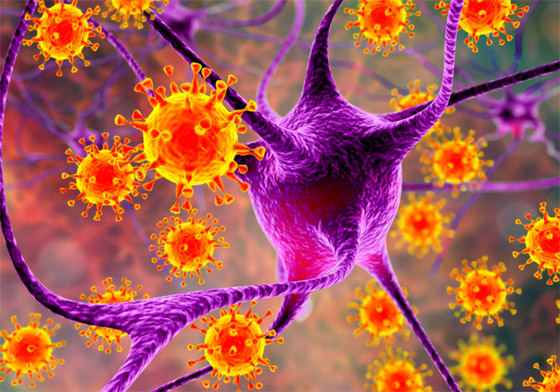 دولة عربية هي الأفضل في مكافحة كورونا حتى الآن.. وخبر سار لللقاح صورة رقم 8 دولة عربية هي الأفضل في مكافحة كورونا حتى الآن.. وخبر سار لللقاح صورة رقم 8