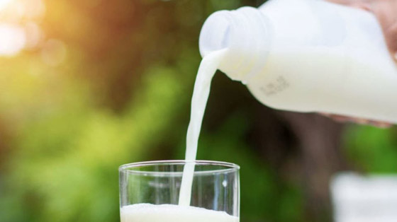 هل تحمي الألبان من مرض السكري وارتفاع ضغط الدم؟ صورة رقم 1