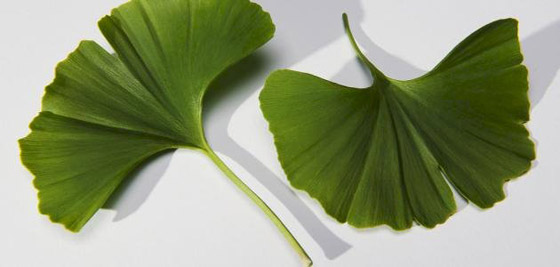 5 مشروبات فعالة لعلاج ضيق التنفس صورة رقم 4