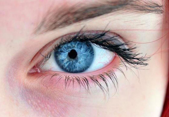 صورة رقم 3 - ماذا تعني ألوان العيون؟.. تعرف على شخصيتك من لون عيونك! صورة رقم 3 - ماذا تعني ألوان العيون؟.. تعرف على شخصيتك من لون عيونك!