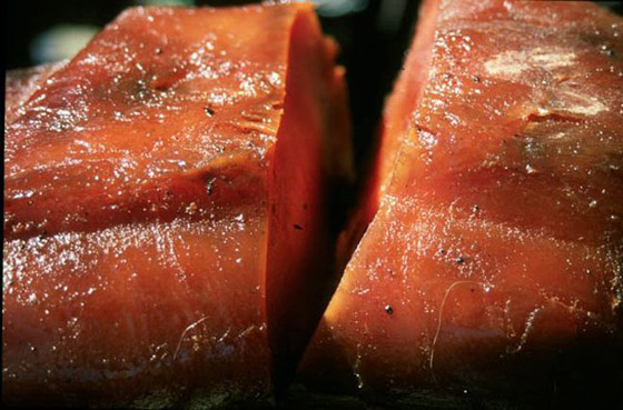 غير عادية ولكن شهية.. إليكم 10 أطباق طعام غريبة ولذيذة حول العالم صورة رقم 3