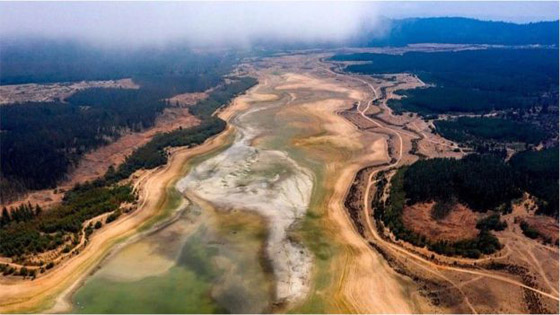  لو اختفت كل الفيروسات من عالمنا 