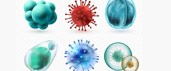  لو اختفت كل الفيروسات من عالمنا 