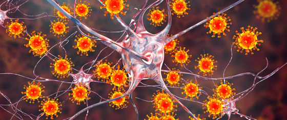  لو اختفت كل الفيروسات من عالمنا 