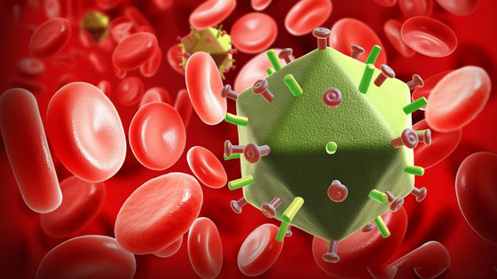 الموجة الثانية لوباء كورونا.. إليكم أبرز المعالم والمخاطر والآمال صورة رقم 22