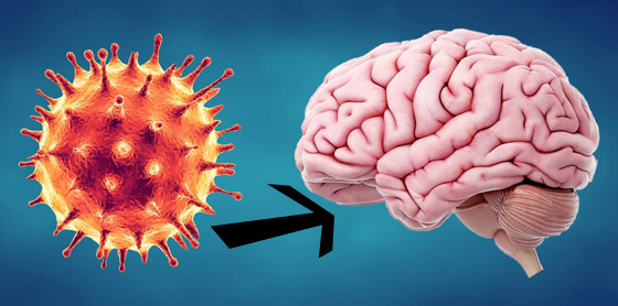 كورونا يلحق أضرارا بالمخ قد تصل للخرف.. نتائج مقلقة تذهل العلماء! صورة رقم 10