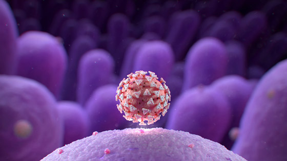 الصحة العالمية: نأمل انتهاء جائحة فيروس كورونا في أقل من عامين صورة رقم 6