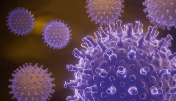 الصحة العالمية: نأمل انتهاء جائحة فيروس كورونا في أقل من عامين صورة رقم 12