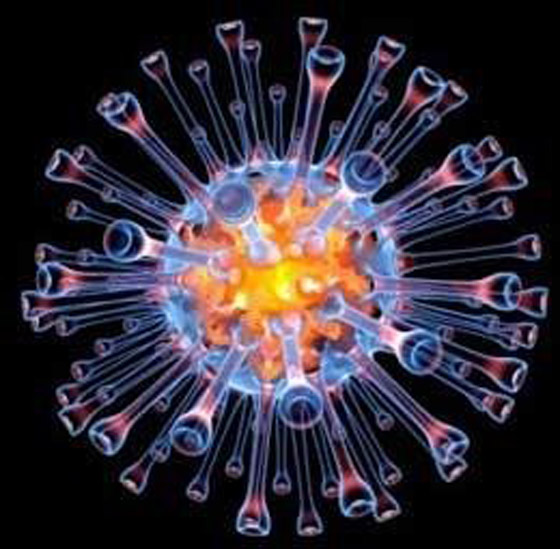 فيروس خنزيري يظهر بالصين ويدق ناقوس الخطر من وباء جديد! صورة رقم 28 فيروس خنزيري يظهر بالصين ويدق ناقوس الخطر من وباء جديد! صورة رقم 28