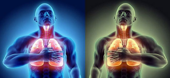 حاصل على نوبل بالطب يكشف طريقة تنفس تحمي من كورونا إلى الأبد صورة رقم 1 حاصل على نوبل بالطب يكشف طريقة تنفس تحمي من كورونا إلى الأبد صورة رقم 1