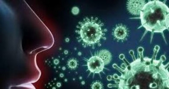 كورونا والهواء.. مئات العلماء يلومون الصحة العالمية صورة رقم 3