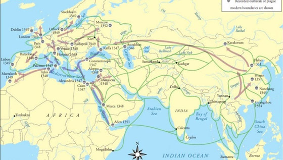 بعد كورونا وإنفلونزا الخنازير.. تحذير من تفشي الطاعون الأسود القادم! صورة رقم 6 بعد كورونا وإنفلونزا الخنازير.. تحذير من تفشي الطاعون الأسود القادم! صورة رقم 6
