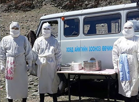 بعد كورونا وإنفلونزا الخنازير.. تحذير من تفشي الطاعون الأسود القادم! صورة رقم 18 بعد كورونا وإنفلونزا الخنازير.. تحذير من تفشي الطاعون الأسود القادم! صورة رقم 18