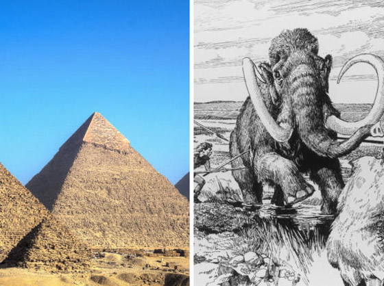 صورة رقم 5 - إليكم أغرب الحقائق وأكثرها روعة ودهشة في التاريخ صورة رقم 5 - إليكم أغرب الحقائق وأكثرها روعة ودهشة في التاريخ