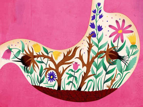 تعرفوا إلى فوائد بذور الكتان لإنقاص الوزن والحصول على قوام رشيق صورة رقم 1 تعرفوا إلى فوائد بذور الكتان لإنقاص الوزن والحصول على قوام رشيق صورة رقم 1