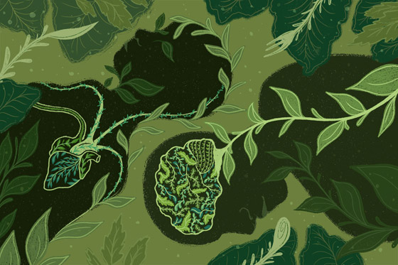 تعرفوا إلى فوائد بذور الكتان لإنقاص الوزن والحصول على قوام رشيق صورة رقم 3 تعرفوا إلى فوائد بذور الكتان لإنقاص الوزن والحصول على قوام رشيق صورة رقم 3