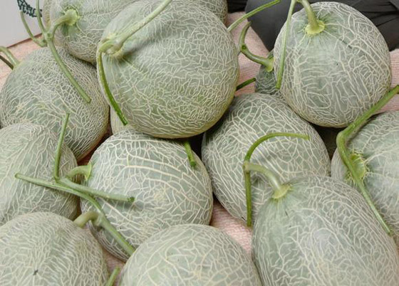 بالصور: تعرفوا إلى أغلى الأطعمة في العالم والتي ستفرغ محفظتكم صورة رقم 7