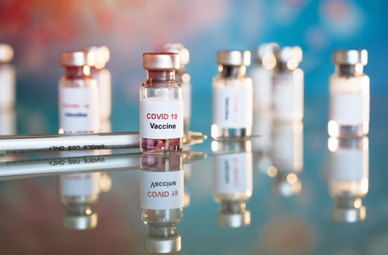 أمل يلوح من الإبل.. دم حيوان اللاما علاج محتمل لوباء كورونا صورة رقم 3