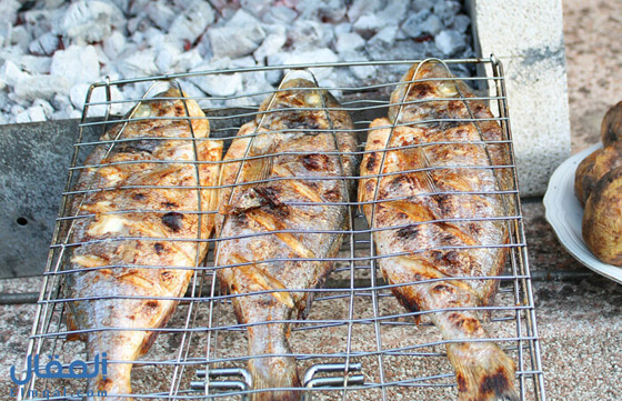 لحماية أدمغتكم.. تناولوا هذه الوجبة مشوية أو مطبوخة فقط صورة رقم 4