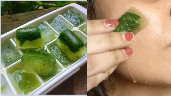 مكعبات الصبّار المثلجة لتمليس التجاعيد في ثوانٍ صورة رقم 5