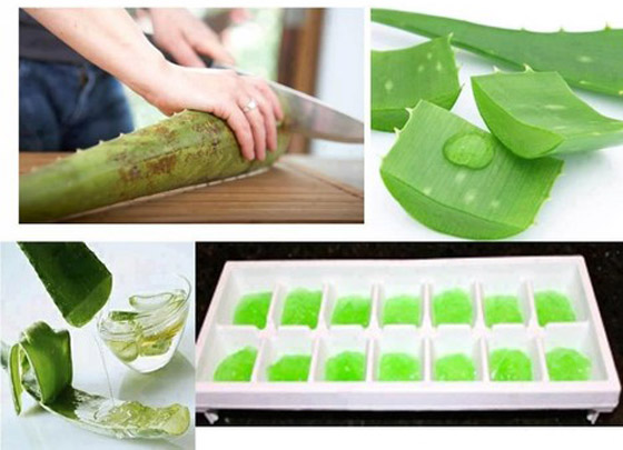 مكعبات الصبّار المثلجة لتمليس التجاعيد في ثوانٍ صورة رقم 2