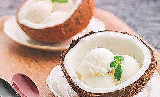 طريقة إعداد الآيس كريم بجوز الهند الطبيعي صورة رقم 5