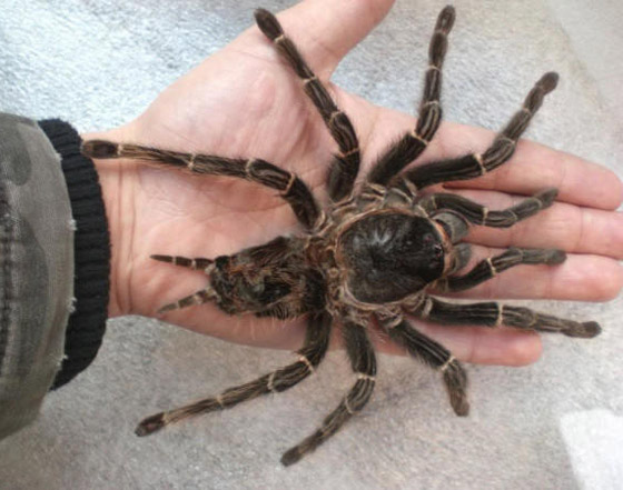    4 - :        
