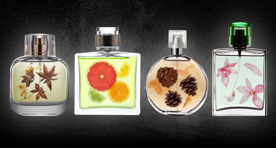 عطور من كل العائلات.. كيف تُحدد الرائحة التي تُفضلها؟ صورة رقم 1