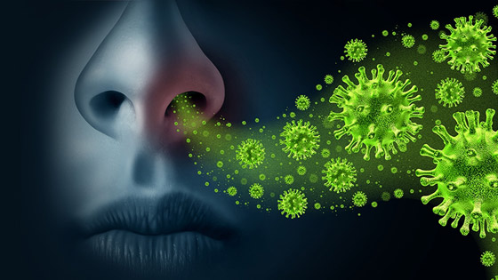 عودة عدو البشرية.. ماذا يفعل فيروس كورونا بالعالم هذه الأيام؟ صورة رقم 3