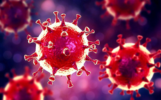 عودة عدو البشرية.. ماذا يفعل فيروس كورونا بالعالم هذه الأيام؟ صورة رقم 5