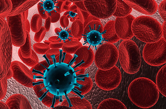 20 مليون مصاب.. إليكم أكثر الدول والمناطق تضررا من فيروس كورونا صورة رقم 2