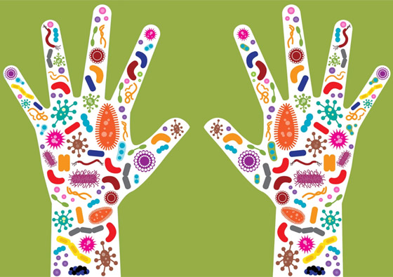 كيف نحافظ على البكتيريا النافعة عند تعقيم الأيدي بالمطهرات؟ صورة رقم 7