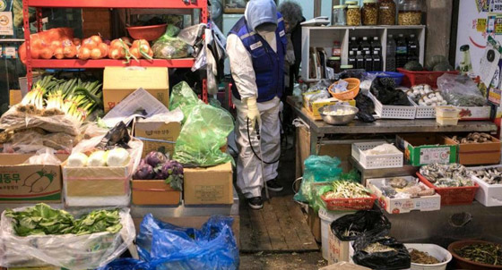 هل ينتقل كورونا عبر الطعام؟ إجابة 