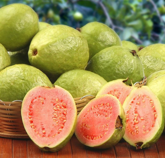 تعرفوا إلى فوائد الجوافة الصحية المدهشة.. لا يمكن تصديقها! صورة رقم 3 تعرفوا إلى فوائد الجوافة الصحية المدهشة.. لا يمكن تصديقها! صورة رقم 3