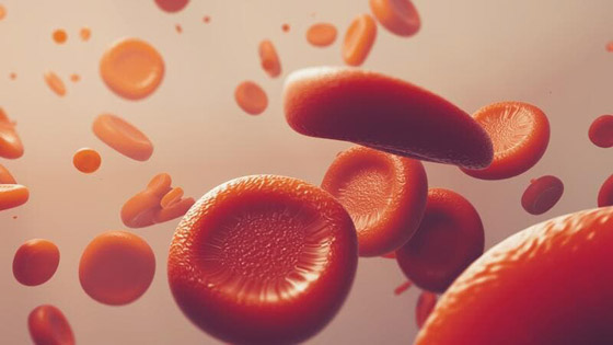 حقائق هامة عن بكتيريا الدم والأشخاص الأكثر عرضه بالإصابه به صورة رقم 4