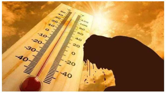 نصائح لتجنّب مخاطر موجة الحر صورة رقم 2
