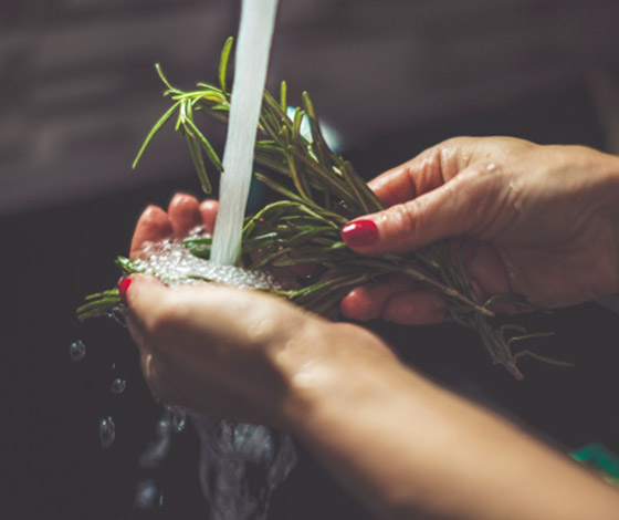 للبشرة والشعر والتنحيف.. إكليل الجبل عشبة سحرية بفوائد مذهلة! صورة رقم 6