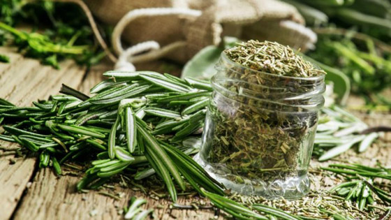 للبشرة والشعر والتنحيف.. إكليل الجبل عشبة سحرية بفوائد مذهلة! صورة رقم 7