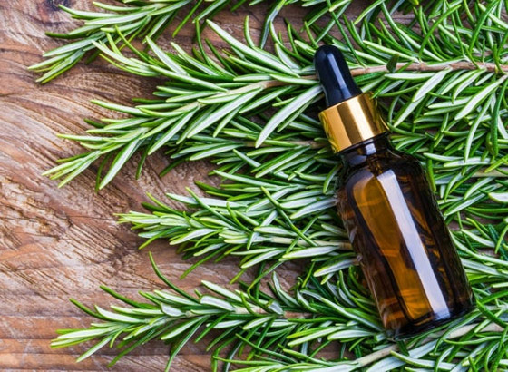 للبشرة والشعر والتنحيف.. إكليل الجبل عشبة سحرية بفوائد مذهلة! صورة رقم 2