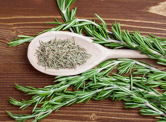 للبشرة والشعر والتنحيف.. إكليل الجبل عشبة سحرية بفوائد مذهلة! صورة رقم 4